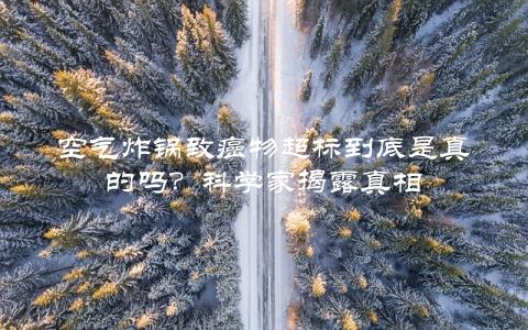 空气炸锅致癌物超标到底是真的吗？科学家揭露真相