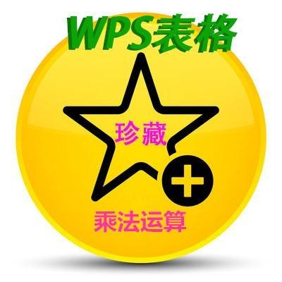 表格里怎么自动算乘法快捷键（WpS表格乘法运算大全）