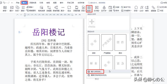 wps去水印（wps office可以去水印吗）