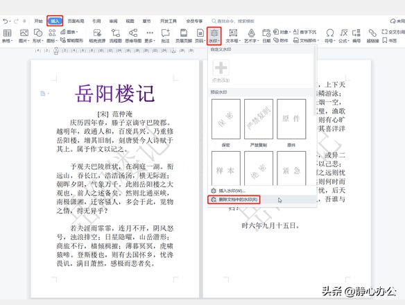 wps去水印（wps office可以去水印吗）