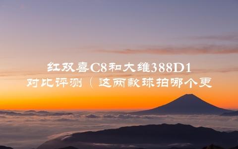 红双喜C8和大维388D1对比评测（这两款球拍哪个更值得购买？）