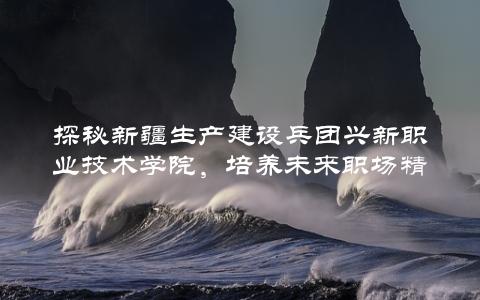 探秘新疆生产建设兵团兴新职业技术学院，培养未来职场精英的秘密