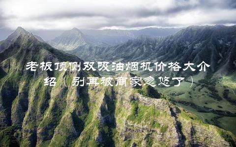 老板顶侧双吸油烟机价格大介绍（别再被商家忽悠了）