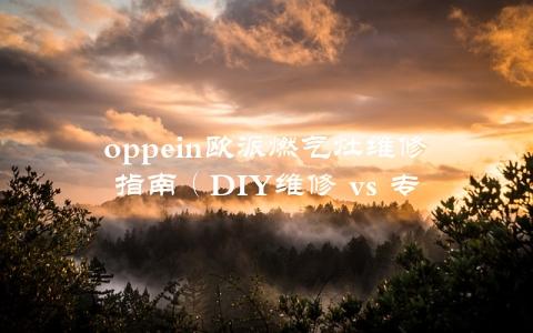 oppein欧派燃气灶维修指南（DIY维修 vs 专业维修，哪种更划算？）