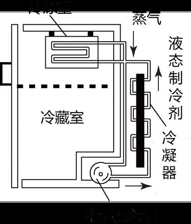 冰箱买什么牌子好租房用的（冰箱最全选购攻略分享）