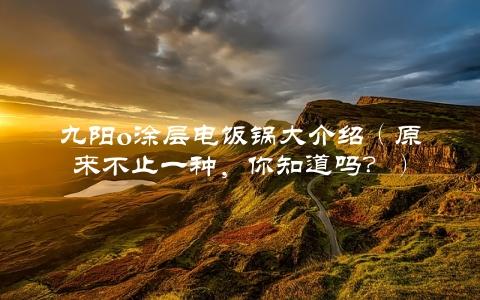 九阳o涂层电饭锅大介绍（原来不止一种，你知道吗？）