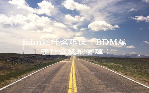 bdm是什么职位（BDM属于什么级别管理）