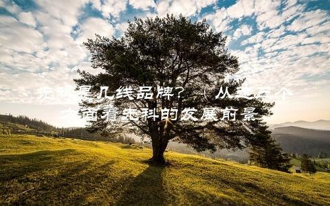 先科是几线品牌？（从这三个方面看先科的发展前景）