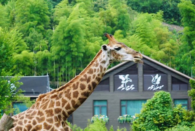 湖州有什么好玩的地方旅游景点（湖州旅游必去十大景点）