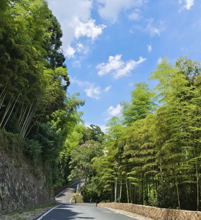 湖州有什么好玩的地方旅游景点（湖州旅游必去十大景点）