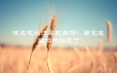 吹风机必须买戴森吗？看完这篇你就知道了