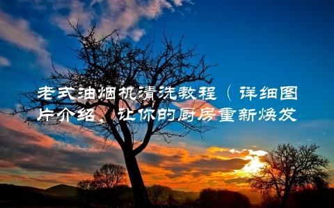 老式油烟机清洗教程（详细图片介绍，让你的厨房重新焕发光彩）