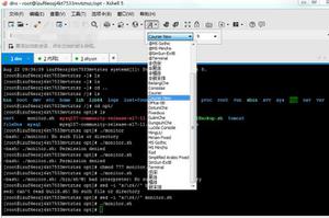 Linux下shell脚本监控Tomcat的状态并实现自动启动的步骤
