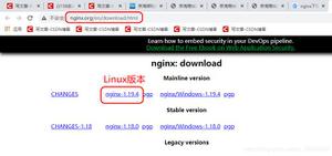 Linux安装Nginx步骤详解