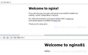 nginx 配置虚拟主机,实现在一个服务器可以访问多个网站的方法