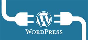 WordPress 自定义路由 URL 和 显示模板