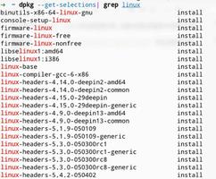 Linux deepin 删除多余内核的实现方法