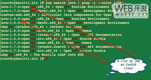在CentOS系统上安装Java的openjdk的方法