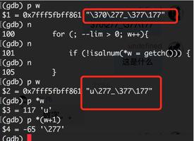 c语言gdb中查看变量下面的编码是什么意思？