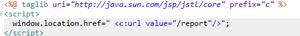 java项目的jsp页面的着两行代码是什么意思？