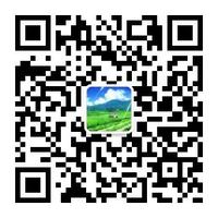 【Web前端问题】javascript中数组和类数组对象（Array-like Object）的区别？