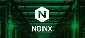 nginx反向代理配置去除前缀