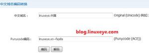 Nginx 中文域名配置详解及实现