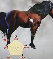 《帝国神话》最高品质的马匹获取方法介绍
