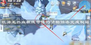 航海王热血航线奇怪的货物怎么做