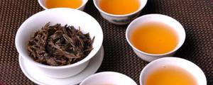 广东人喜欢喝什么茶