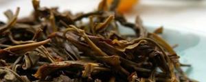 单丛茶有多少品种