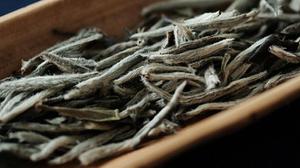 银针茶叶属于什么茶