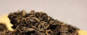 普洱绿茶是什么茶