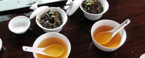 水仙茶泡茶方法