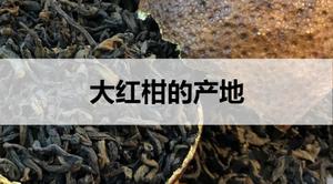 大红柑<span style='color:red;'>普洱茶的产地在哪</span>里？