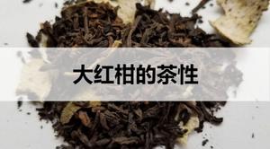 大红柑普洱茶是温性茶吗？