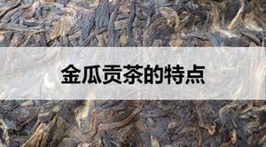 金瓜贡茶的特点有哪些？
