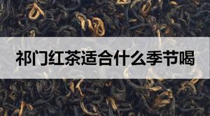 祁门红茶适合什么季节饮用？