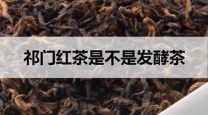 祁门红茶是不是发酵茶？