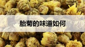 胎菊的味道如何？