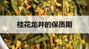 桂花龙井的保质期是多久？