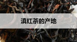 <span style='color:red;'>滇红茶的产地</span>在哪里？