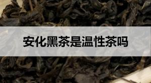 安化黑茶是温性茶吗？