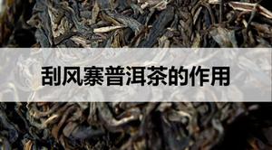 刮风寨普洱茶的作用有哪些？