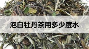 泡白牡丹茶用多少度的水？