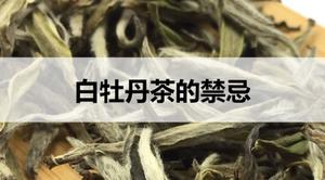 白牡丹茶的禁忌有哪些？