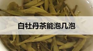 白牡丹茶能泡几泡？