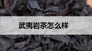 武夷岩茶怎么样？
