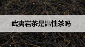 武夷岩茶是温性茶吗？