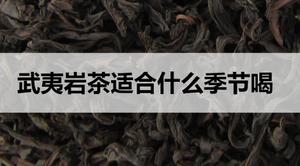 武夷岩茶适合什么季节喝？